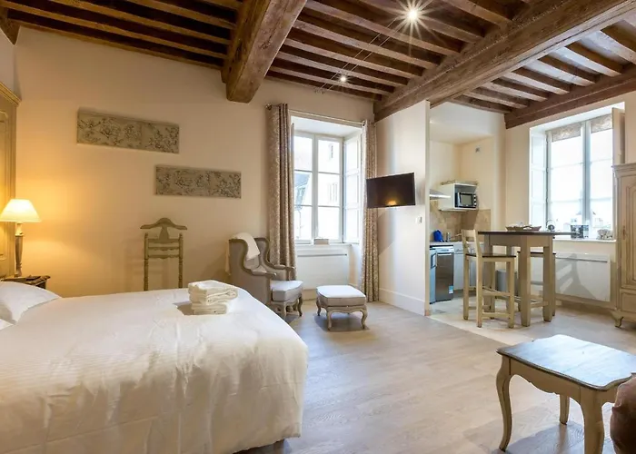 Appartement Le Cara - 4 Calmes Et Chics Au Coeur De Beaune (Cote d'Or)