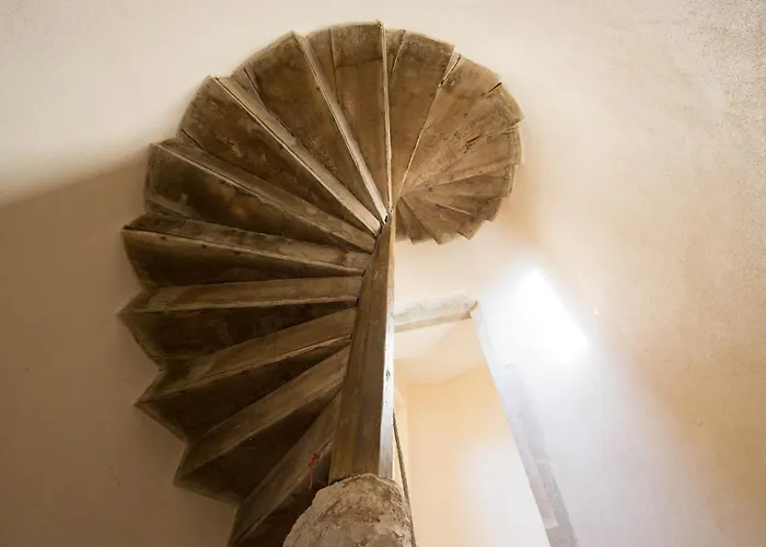 Le Cara - 4 Calmes Et Chics Au Coeur De *